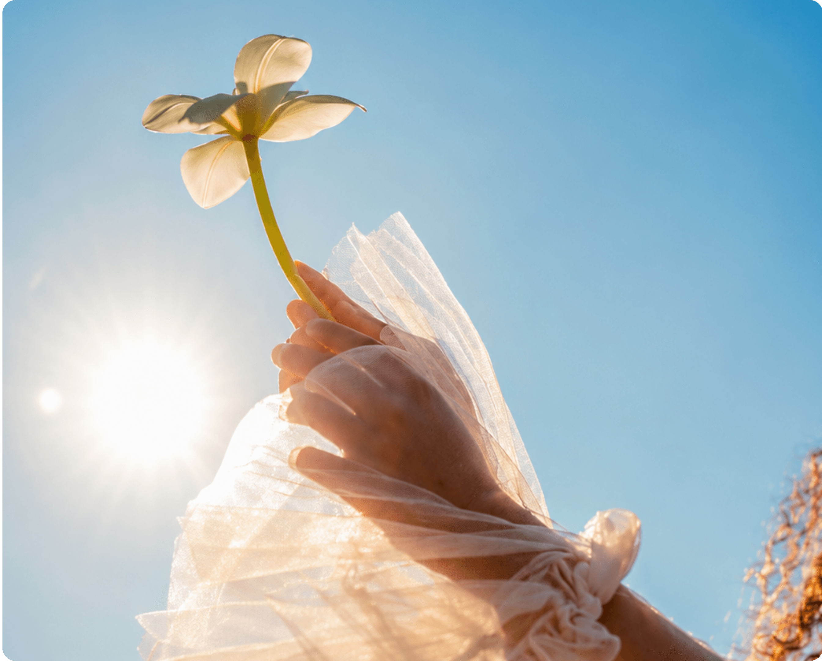 Hand holding a flower against a bright sky