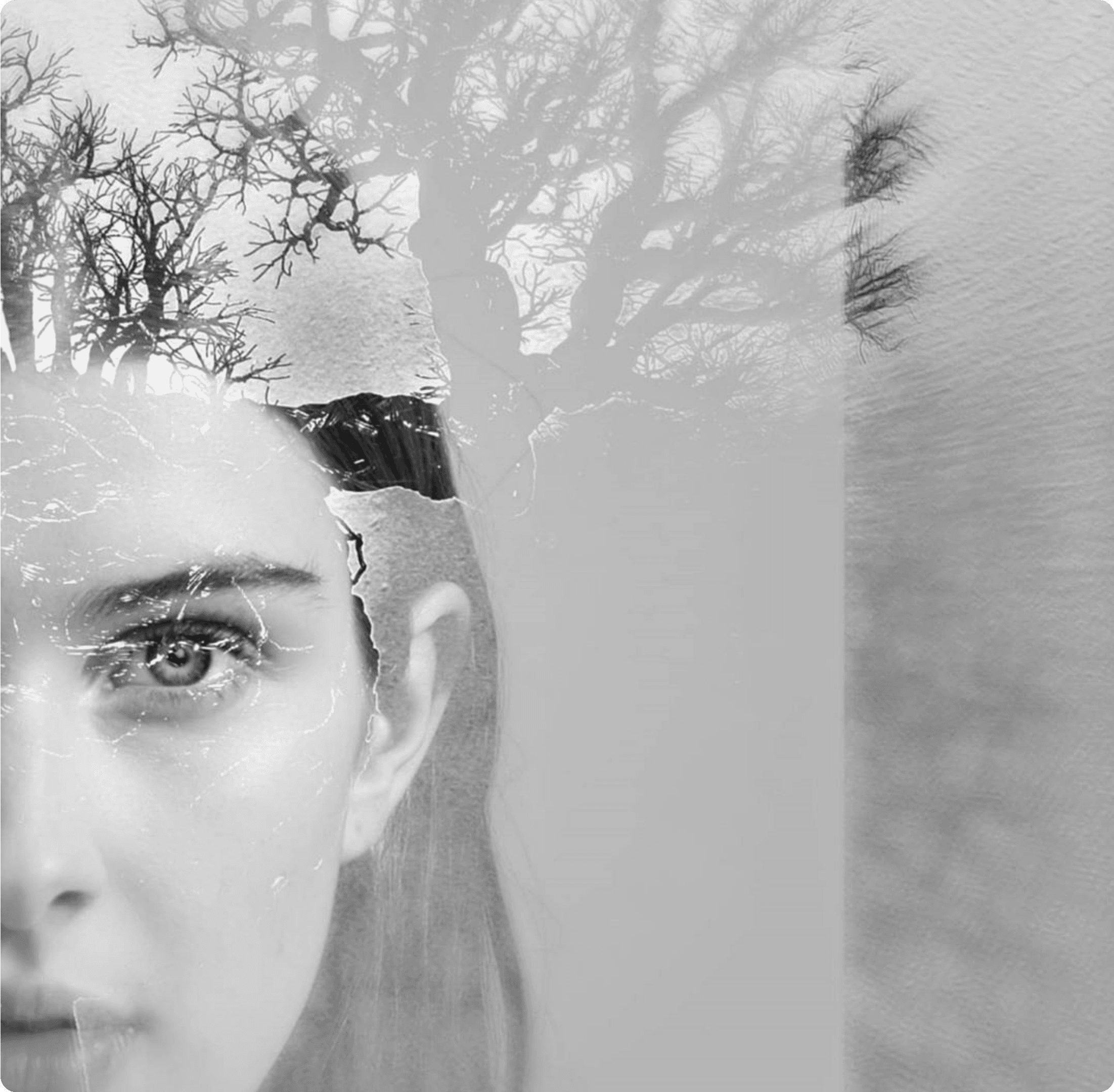 Artistic portrait blending a woman's face with a forest